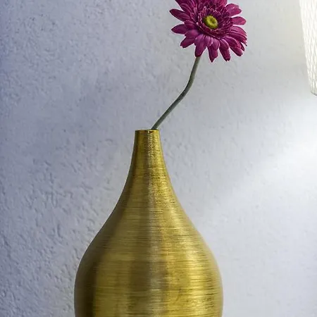 Dom wakacyjny Old House *